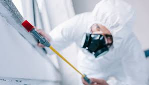 Best Pest Prevention Services  in Powell, OH